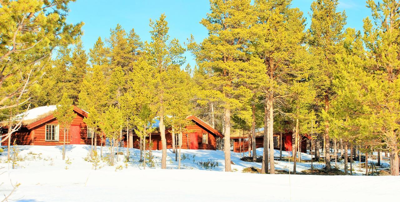 Sjodalen Hyttetun Og Camping Villa Stuttgongfossen Exterior photo