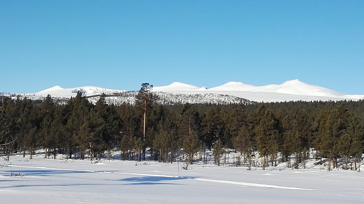 Sjodalen Hyttetun Og Camping Villa Stuttgongfossen Exterior photo